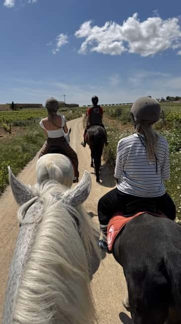 From Barcelona: PRIVATE Horseback Ride + Tapas + Picnic - Should you book the Penedès horseback ride?