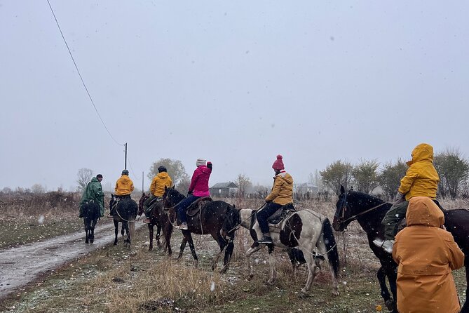 From Bishkek Horse Riding in Arashan Mountains - Choosing the right horse for your experience