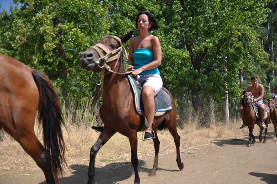 From Bodrum/Gümbet: Guided Horseback Riding Expereince - The one-hour ride and the natural setting