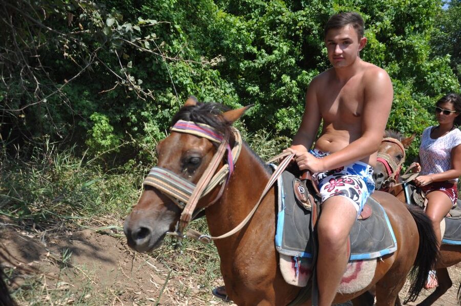 From Bodrum/Gümbet: Guided Horseback Riding Expereince - The horse welfare question you should take seriously