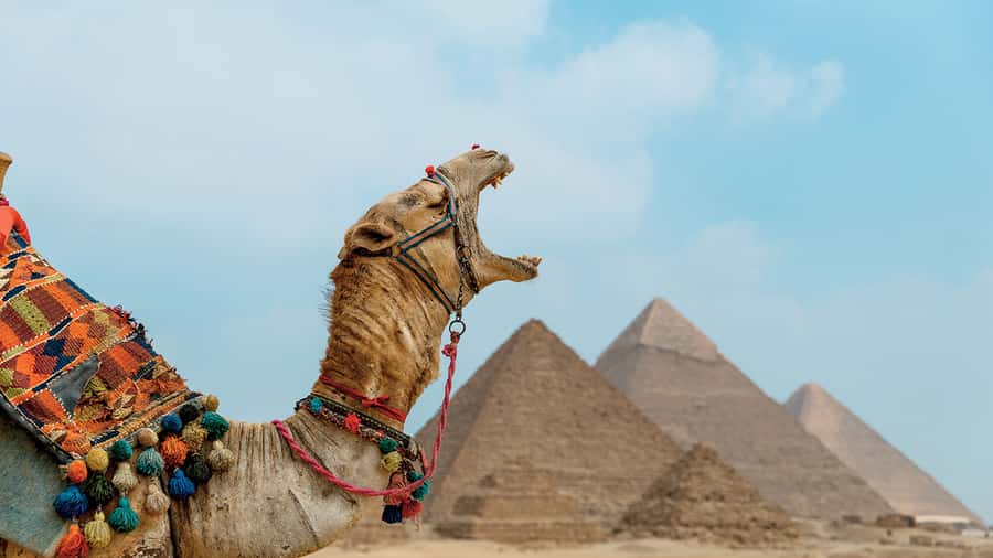 From Cairo: Camel or Horse Ride Tour Around Giza Pyramids - Key points at a glance