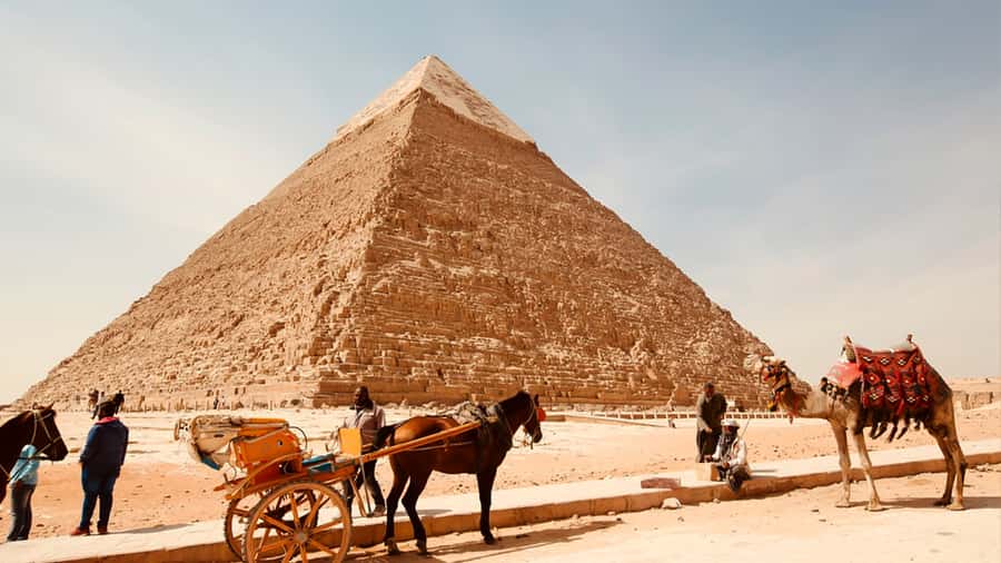 From Cairo: Camel or Horse Ride Tour Around Giza Pyramids - Who will get the most from this outing