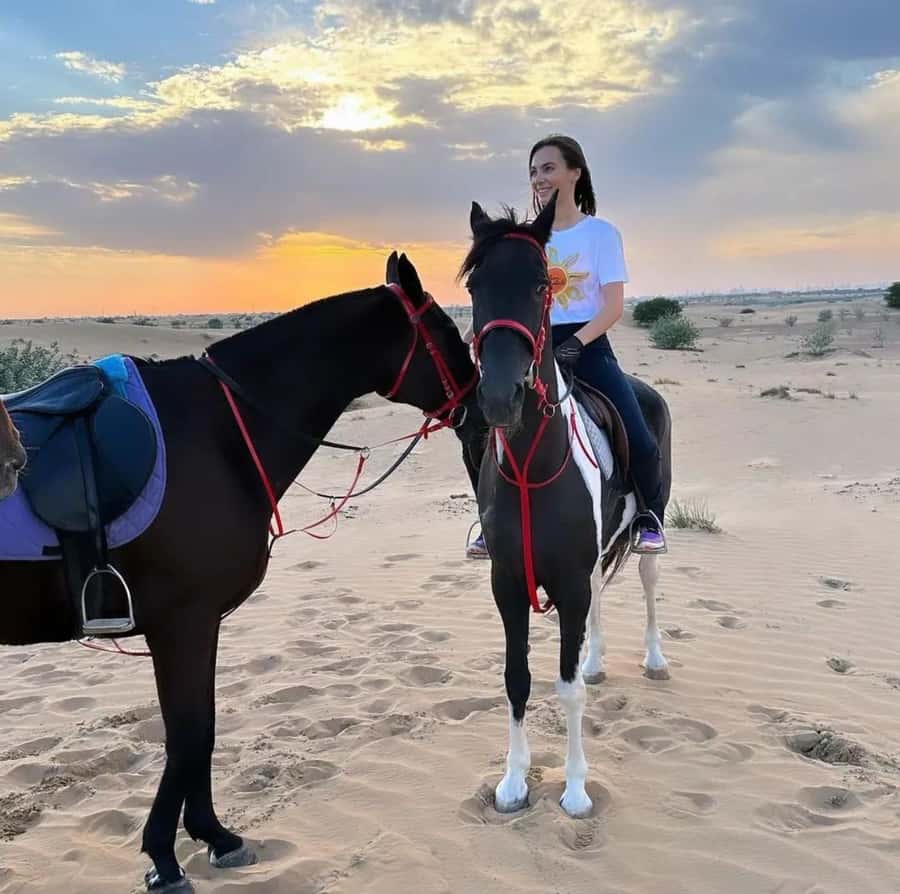 From Doha: Experience Horse Riding In Qatar Desert - Key points at a glance