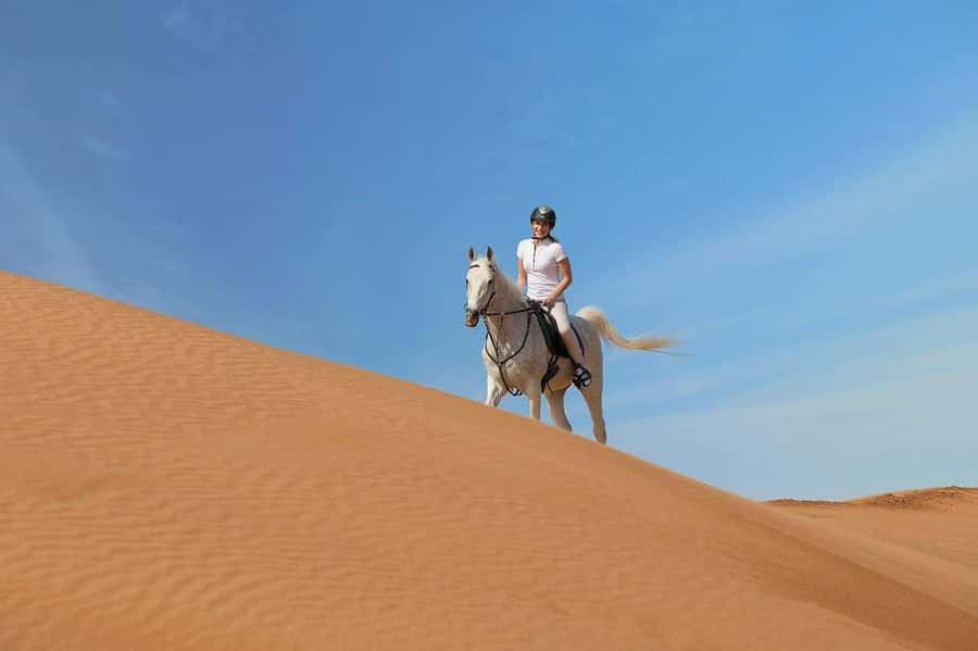 From Doha: Experience Horse Riding In Qatar Desert - Leaving Doha for open desert