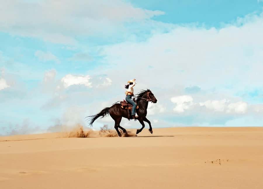 From Doha: Experience Horse Riding In Qatar Desert - An hour across Qatar’s sand and dunes