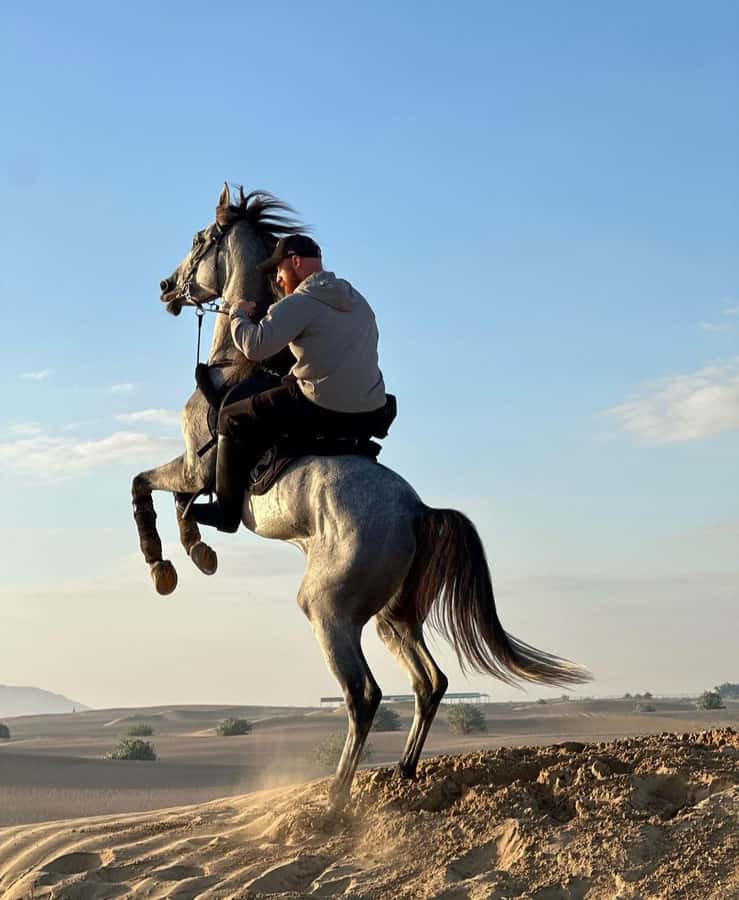 From Doha: Experience Horse Riding In Qatar Desert - Should you book this horse ride?