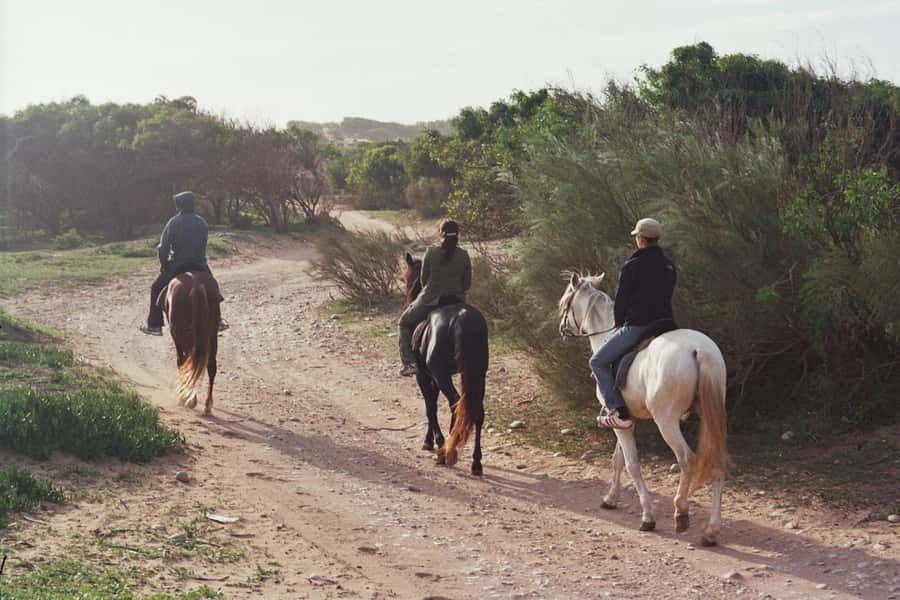 From Essaouira: 1-Hour Horse Ride - Key points to know before you book