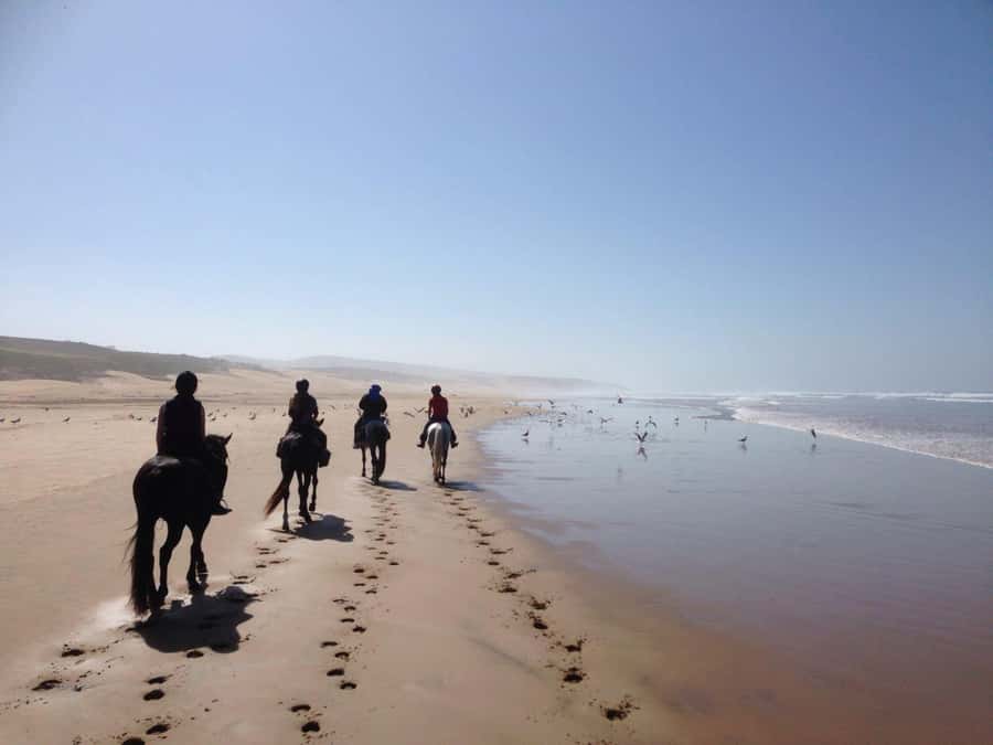 From Essaouira: 1-Hour Horse Ride - From Petite Porte de Bab Marrakech to Ranch de Diabat