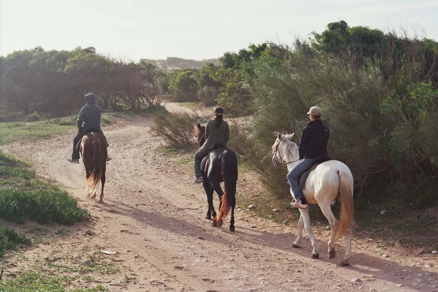 From Essaouira: 1-Hour Horse Ride - Following the river toward the old palace ruins