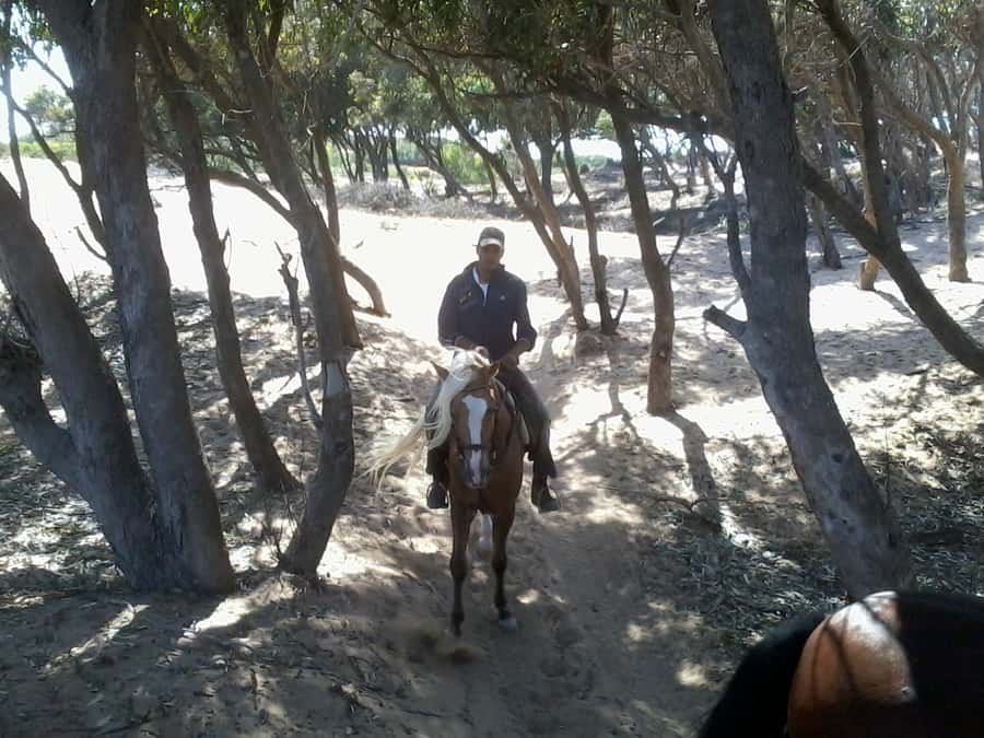 From Essaouira: 1-Hour Horse Ride - Reaching the beach and the view of Mogador Island