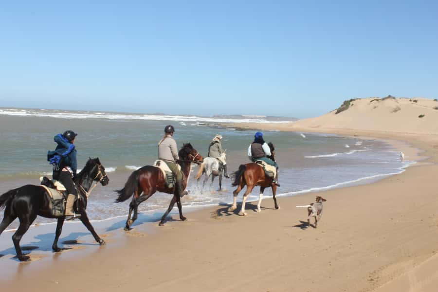 From Essaouira: 1-Hour Horse Ride with sunset - The river and the old palace ruins