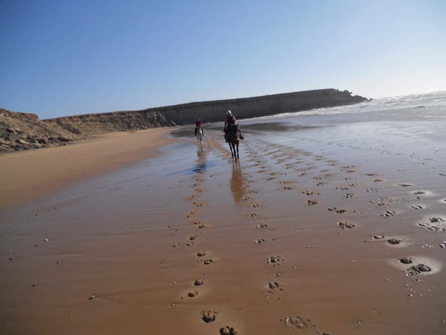From Essaouira: 2h Horseback Ride with Sunset - Key points at a glance