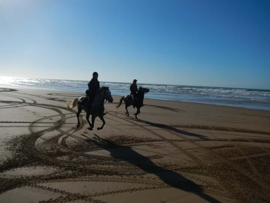 From Essaouira: 2h Horseback Ride with Sunset - Crossing Diabat’s broad sandy beach