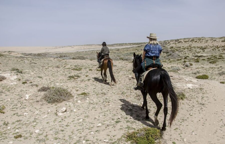 From Essaouira: 2h Horseback Ride with Sunset - Returning through Mimosa and Thuja forest