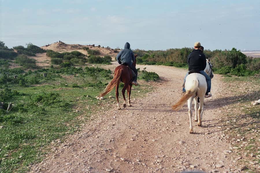 From Essaouira: 2h Horseback Ride with Sunset - Sunset on horseback
