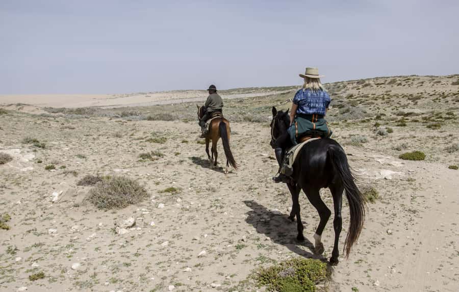 From Essaouira: 2h Horseback Ride with Sunset - Clothing, comfort, and practical limits