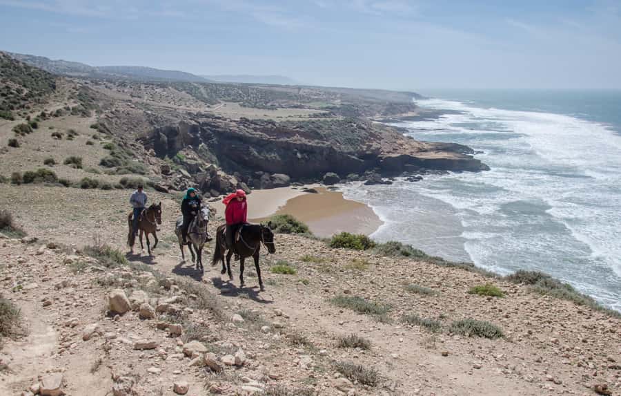 From Essaouira: 2h Horseback Ride with Sunset - Meeting Arabian-Berber horses suited to the ride
