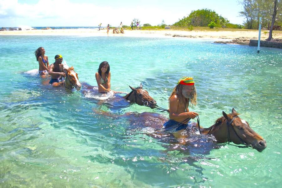 From Falmouth: Horseback Ride and Swim Beach Trip - Key Points to Know