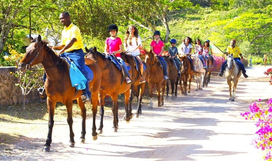 From Falmouth: Horseback Ride and Swim Beach Trip - Is the $220 Price Fair?