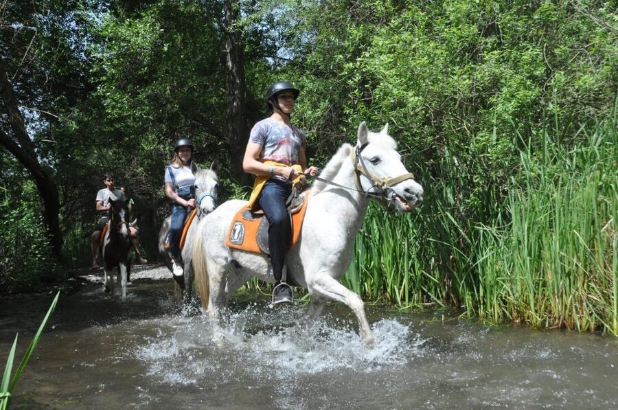 From Fethiye: Horse Riding Adventure - Key points to know before booking
