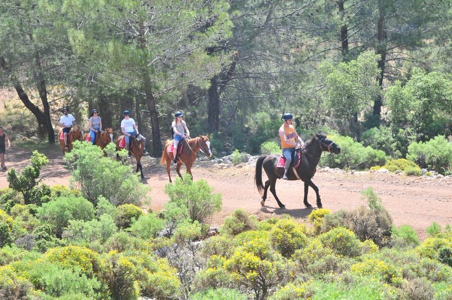From Fethiye: Horse Riding Adventure - Leaving Fethiye for the pine forests