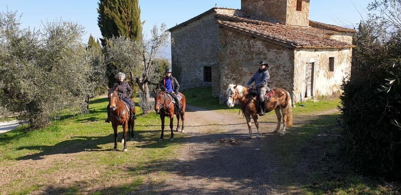 From Florence: Horse Ride and Wine Tour at Estate with Lunch - Lunch with four Chianti and Super Tuscan wines