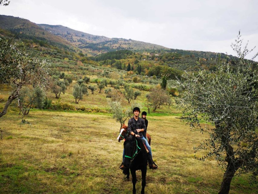 From Florence: Horseback Ride and Olive Oil and food tasting - Key points to know before booking