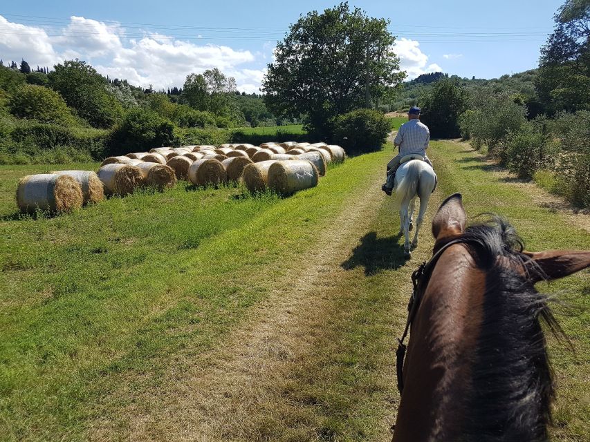 From Florence: Horseback Ride and Olive Oil and food tasting - Why this outing makes sense beyond Florence’s city center