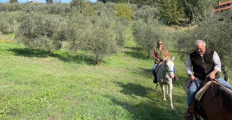 From Florence: Horseback Ride and Olive Oil and food tasting - Choosing your horse in the Chianti hills