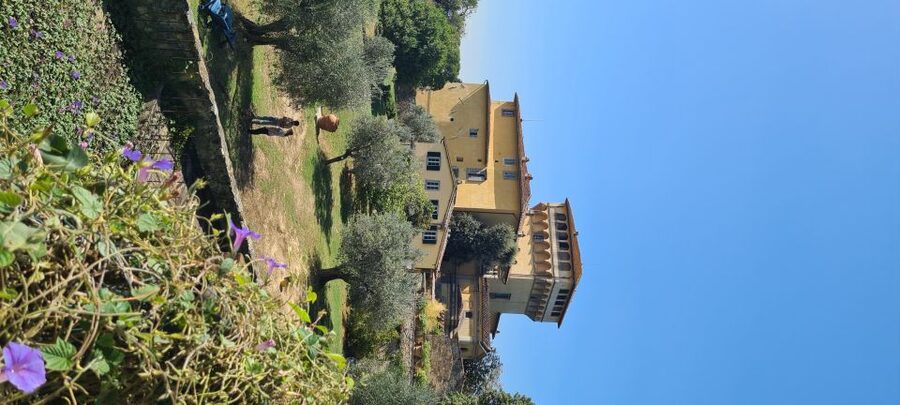 From Florence: Horseback Ride and Olive Oil and food tasting - Learning to taste extra virgin olive oil