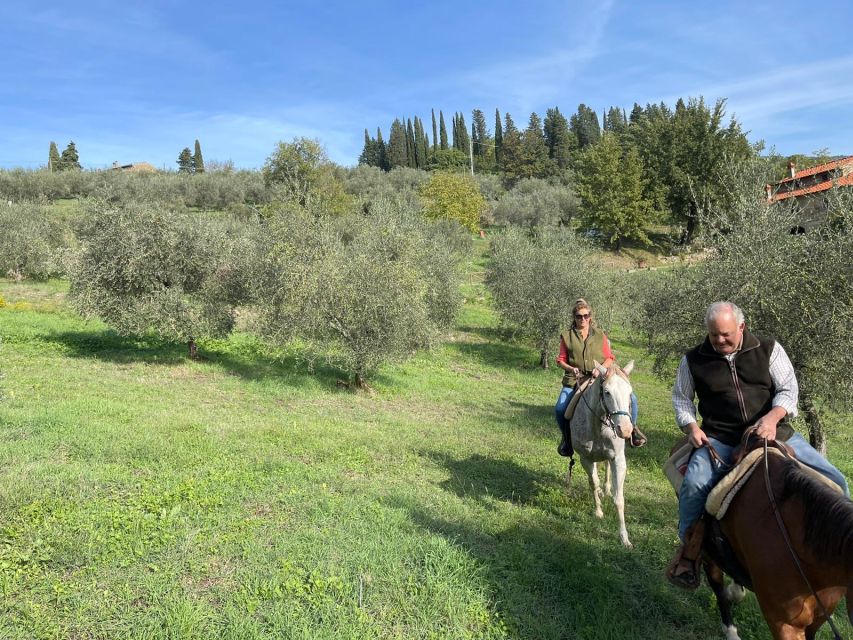From Florence: Horseback Ride and Olive Oil and food tasting - How the guides affect the experience