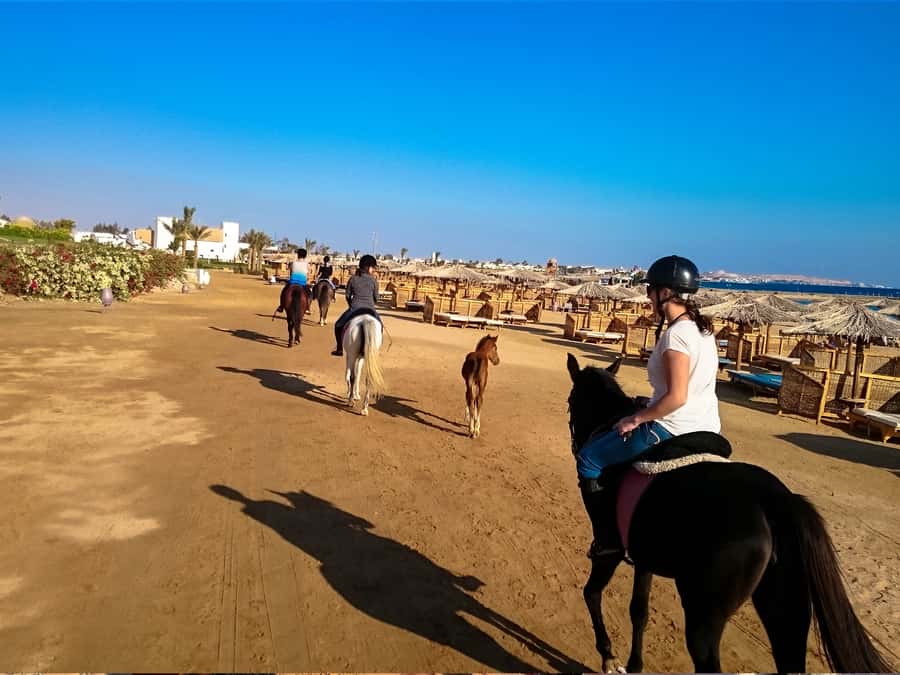 From Hurghada: Makadi Bay Horse Riding Tour - Photos, guides, and the human side of the ride