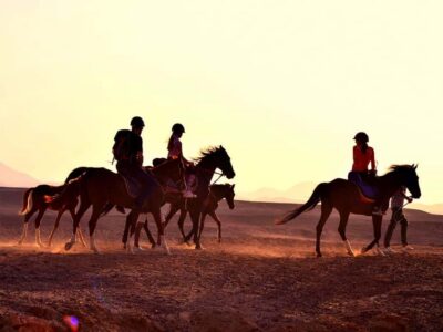 Makadi Bay Horse Riding Tour