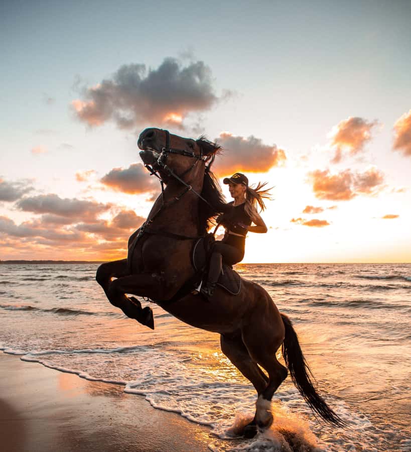 From Hurghada: Makadi Bay Horse Riding Tour - The two-hour route through Makadi Bay