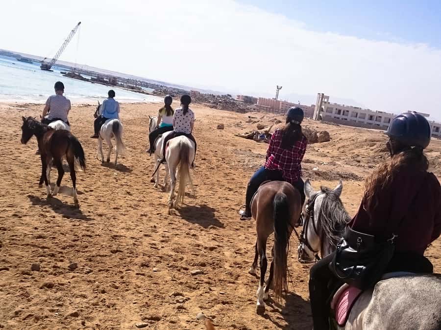 From Hurghada: Makadi Bay Horse Riding Tour - The quad bike and horse combination
