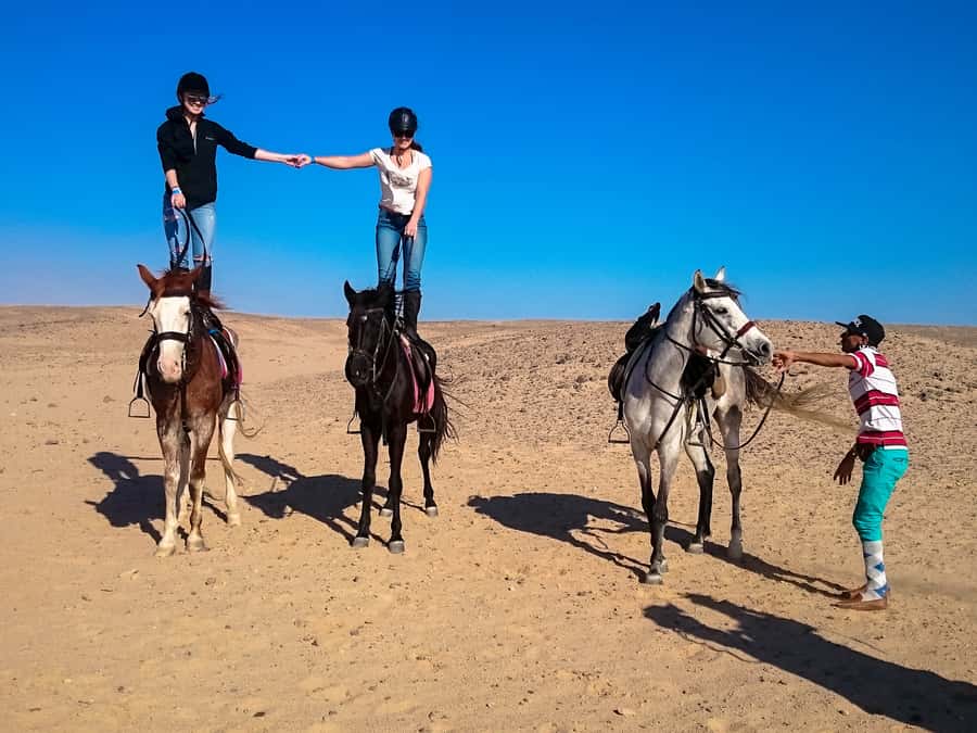 From Hurghada: Makadi Bay Horse Riding Tour - The four-hour VIP ride and Red Sea swim