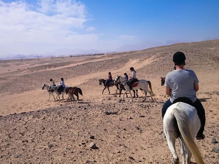 From Hurghada: Makadi Bay Horse Riding Tour - Food, shows, and stargazing after dark