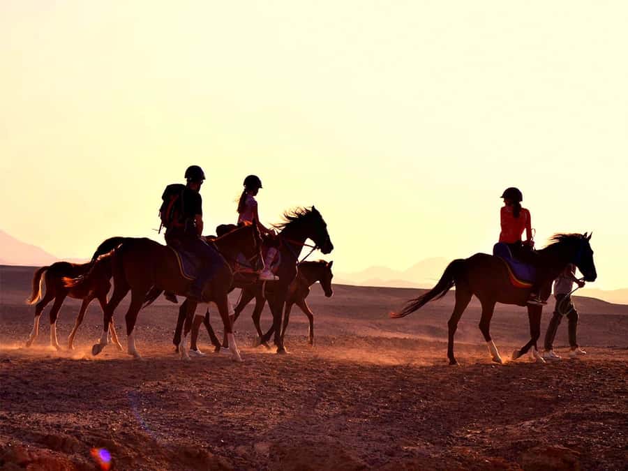 From Hurghada: Makadi Bay Horse Riding Tour - From hotel pickup to the riding base