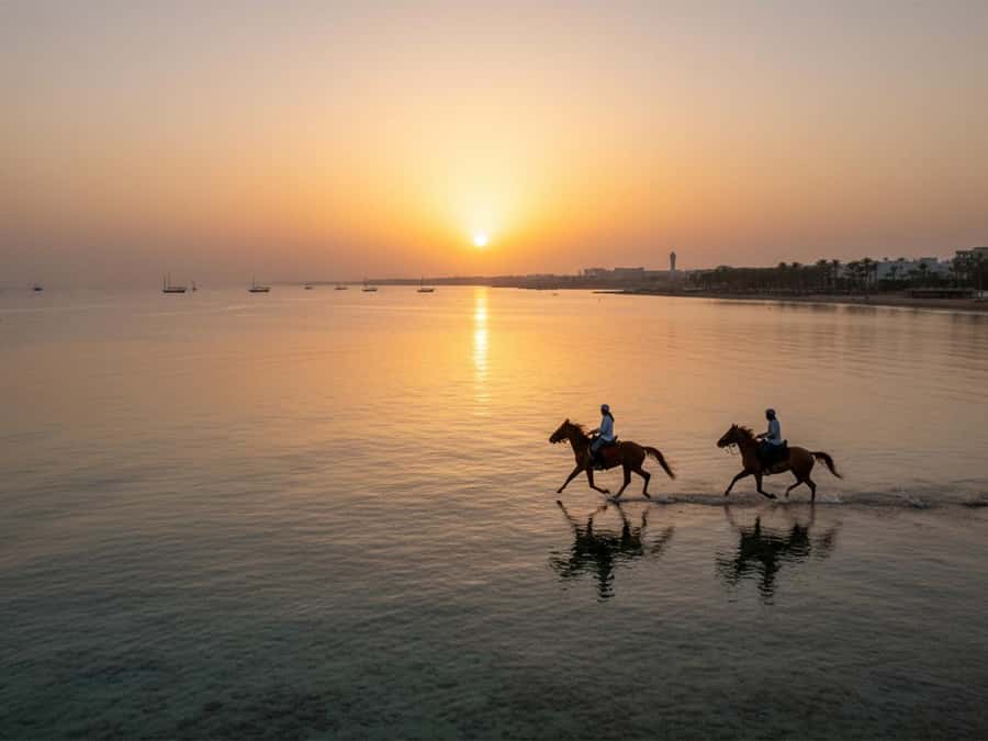 From Hurghada: Red Sea Sunrise and Desert Horseback Riding - Choosing the right ride length and time
