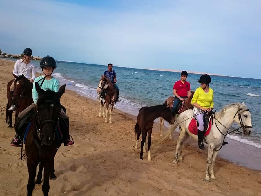 From Hurghada: Red Sea Sunrise and Desert Horseback Riding - The desert and seaside route