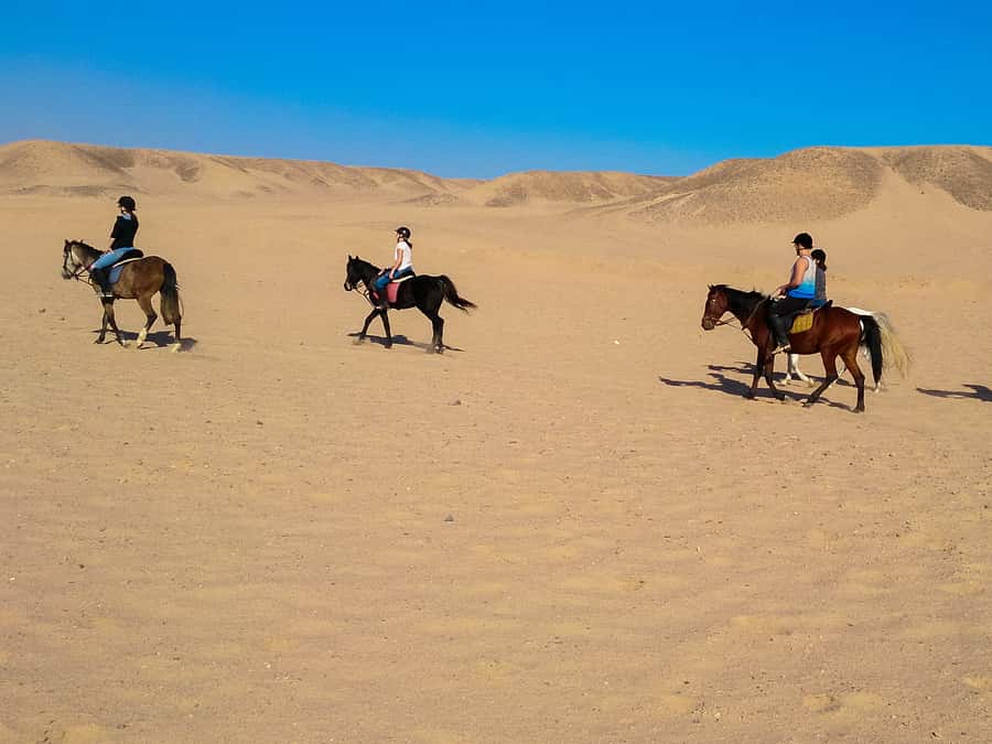 From Hurghada: Red Sea Sunrise and Desert Horseback Riding - Sunrise breakfast, sunset dinner, or a swim