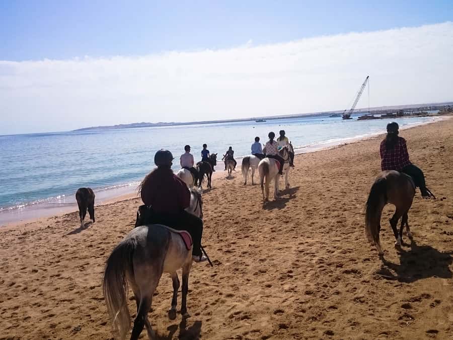 From Hurghada: Red Sea Sunrise and Desert Horseback Riding - Value at $29 per person