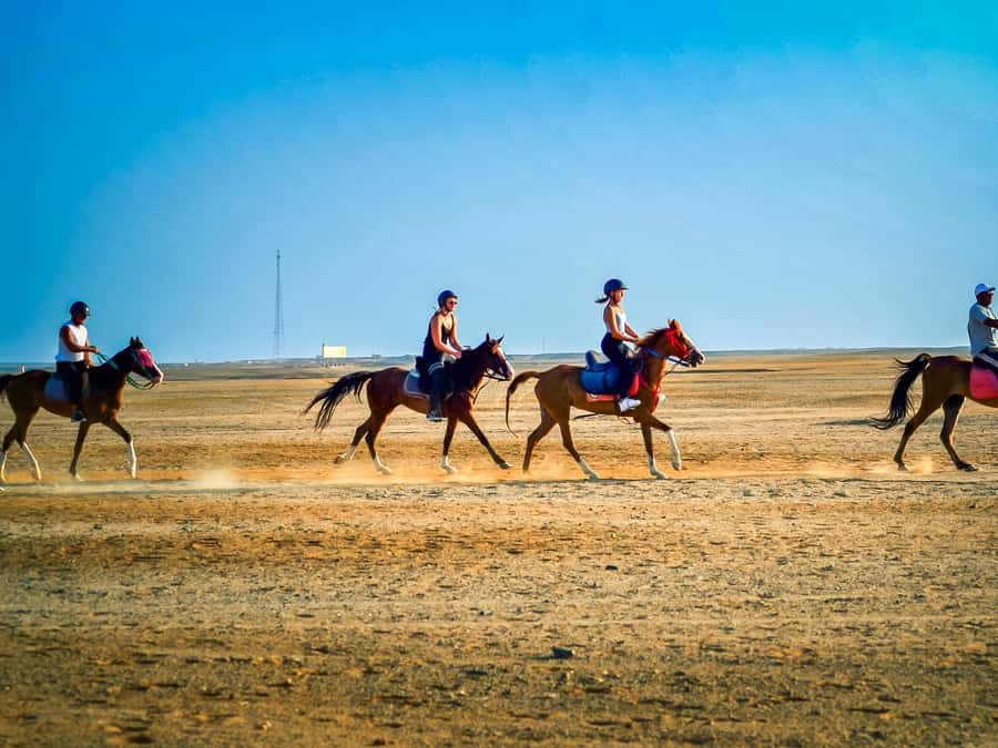 From Hurghada: Red Sea Sunrise and Desert Horseback Riding - Who will enjoy this most