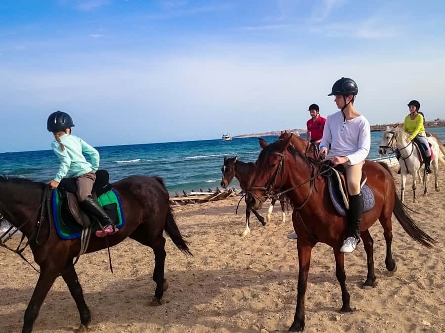 From Hurghada: Red Sea Sunrise and Desert Horseback Riding - Practical booking advice for Hurghada