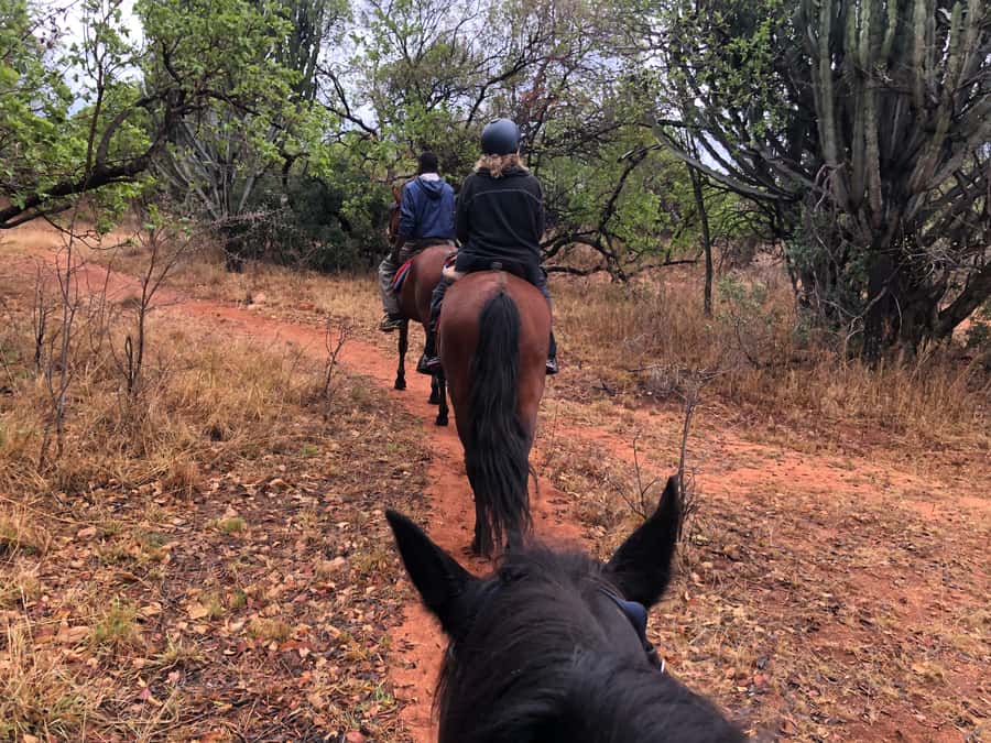 From Johannesburg: Horse-Riding Safari and Cable Car Tour - Seeing the Magaliesberg from above