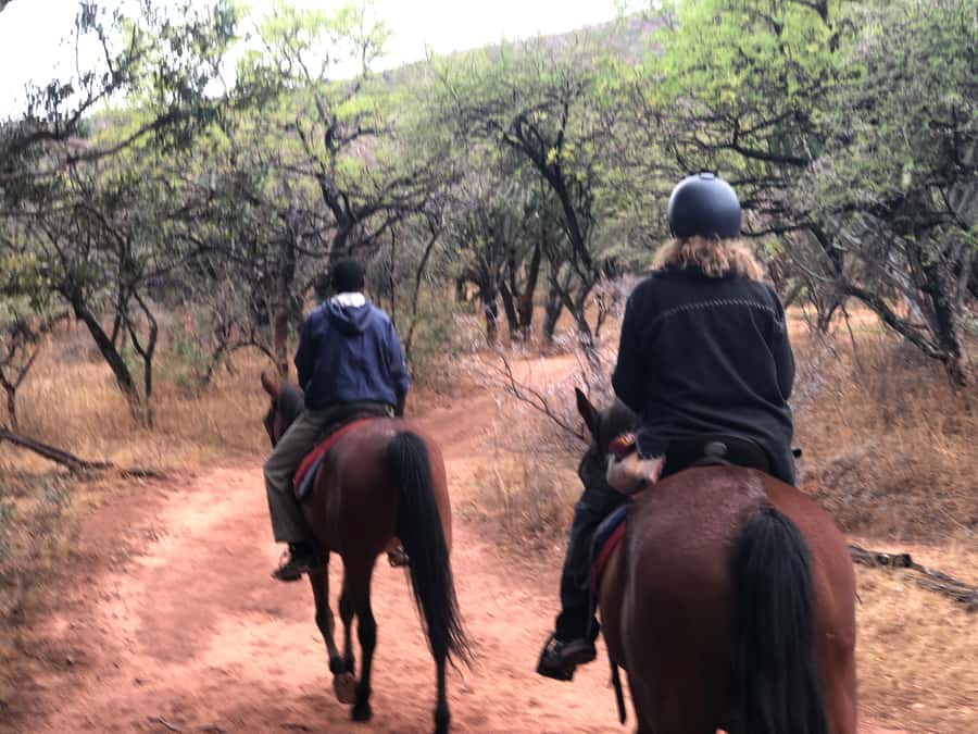 From Johannesburg: Horse-Riding Safari and Cable Car Tour - Is $242 a fair price?