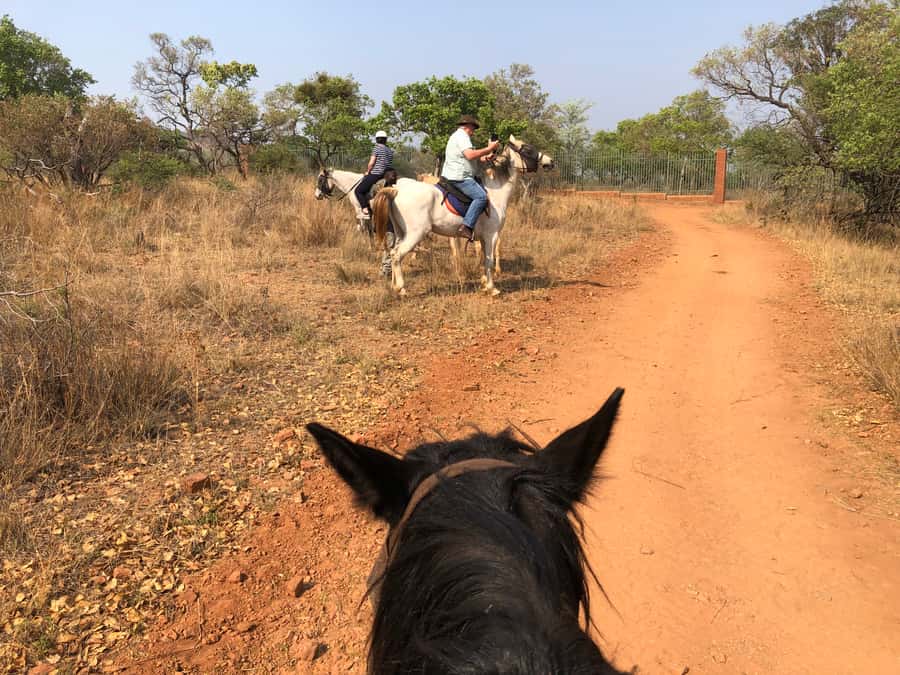 From Johannesburg: Horse-Riding Safari and Cable Car Tour - Who will enjoy this day most?