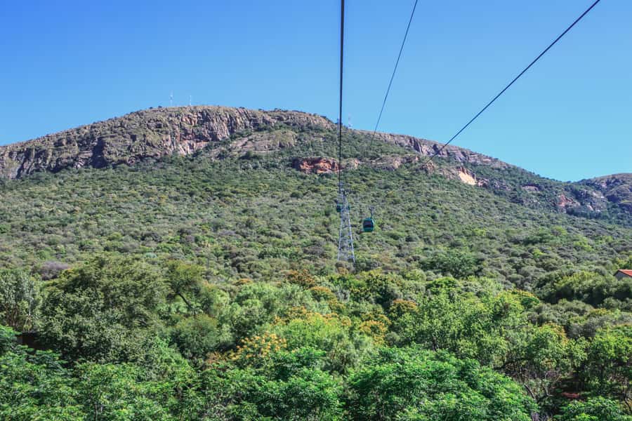 From Johannesburg: Horse-Riding Safari and Cable Car Tour - Booking details that affect your decision