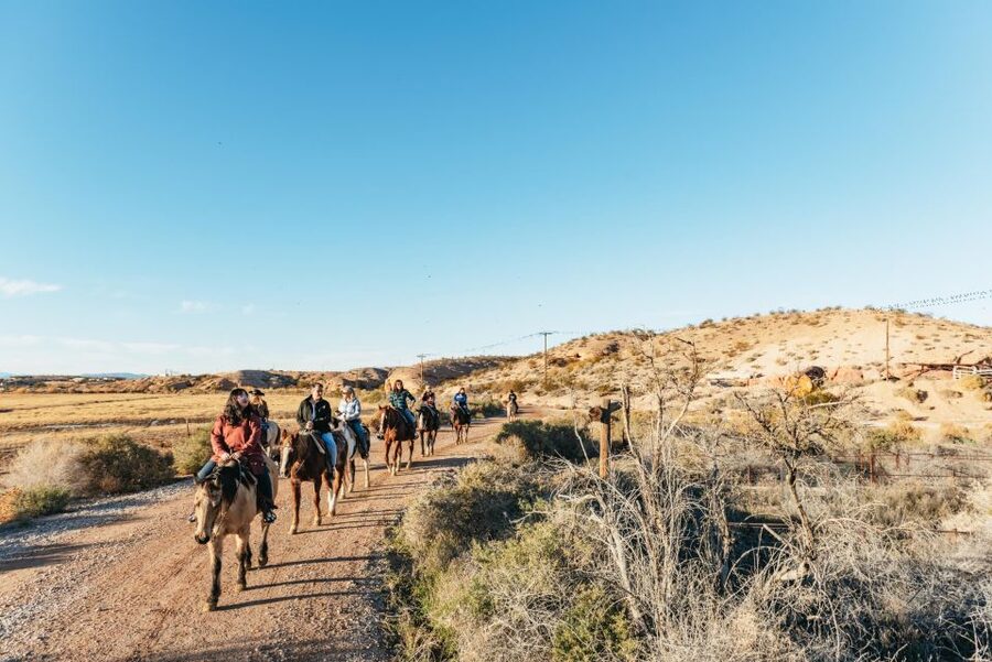 From Las Vegas: Desert Sunset Horseback Ride with BBQ Dinner - The ranch animals and cowboy extras