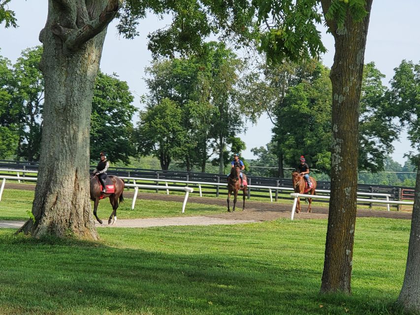 From Lexington: Kentucky Horse Farms Tour - Key points before you book